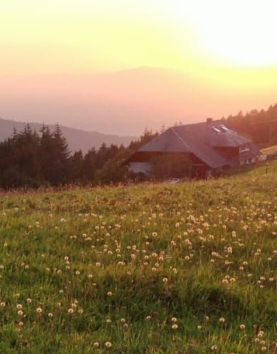 Schwarzwald bei Sonnenuntergang